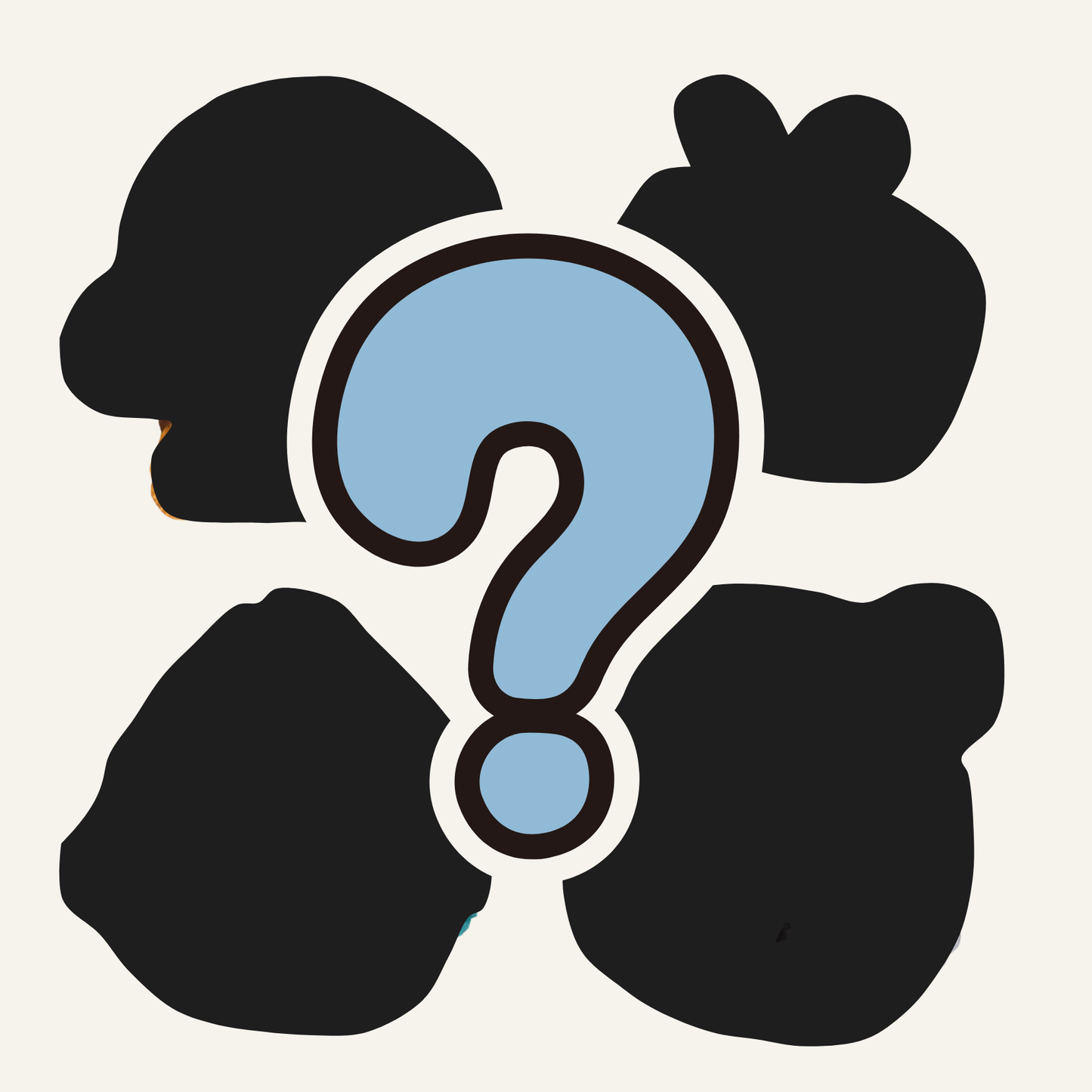 Mystery Bags!